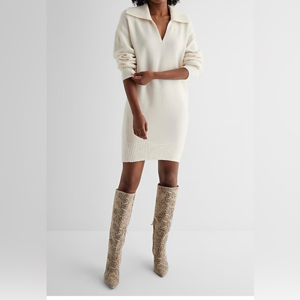 Express Ivory sueter Dress